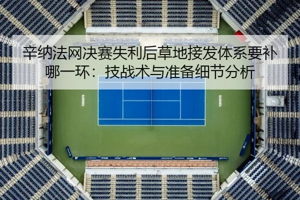 辛纳法网决赛失利后草地接发体系要补哪一环：技战术与准备细节分析