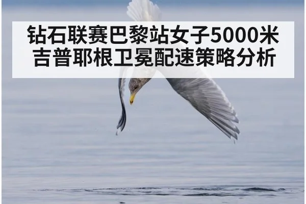 钻石联赛巴黎站女子5000米吉普耶根卫冕配速策略分析